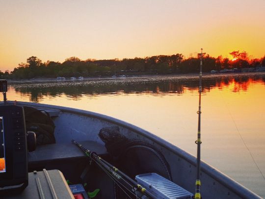 Angelhofer/Reffenthaler Altrhein-1