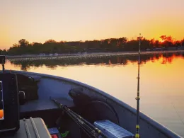 Angelhofer/Reffenthaler Altrhein-1