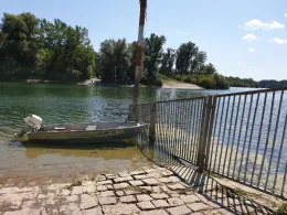 Angelhofer/Reffenthaler Altrhein-4