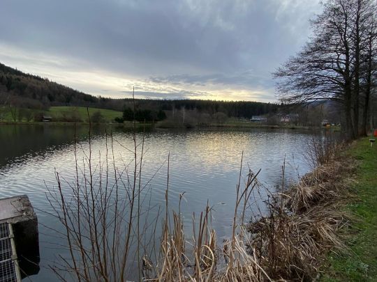 Gondelteich (Gräfenroda)-1