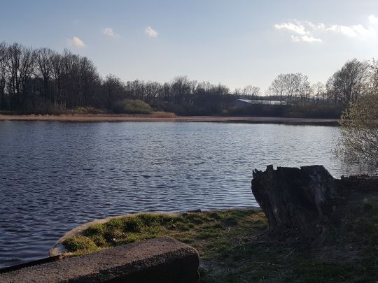 Niederteich (Kriepitz)
