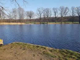 Niederteich (Kriepitz)-1