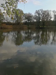 Niederteich (Kriepitz)-1