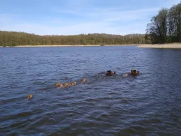 Granzower Möschen-4