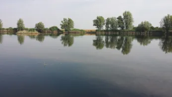 Elsdorfer Kiesgrube-2