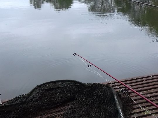Eschsee (Haddorf)