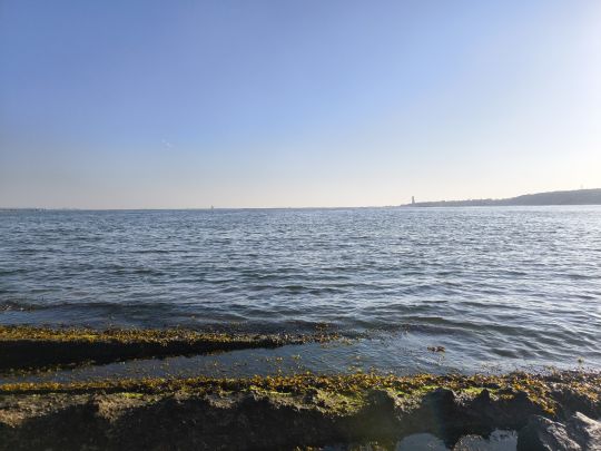 Kieler Förde (Friedrichsort)-4