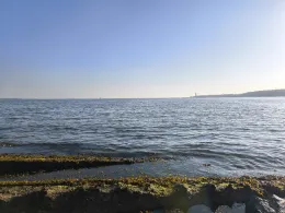 Kieler Förde (Friedrichsort)-4