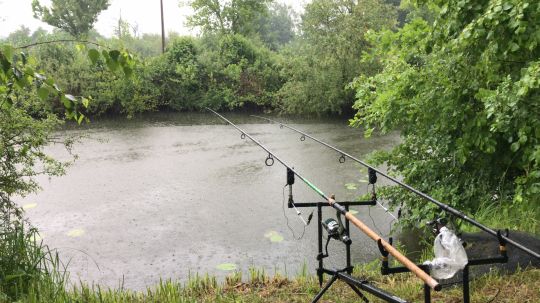 Main (Seligenstadt)-3