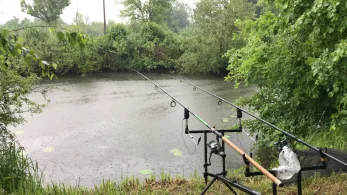 Main (Seligenstadt)-3