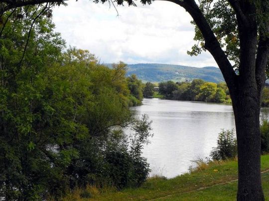 Main (Seligenstadt)-4