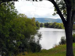 Main (Seligenstadt)-4