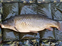 ASV Keckforst (Uedem)-3