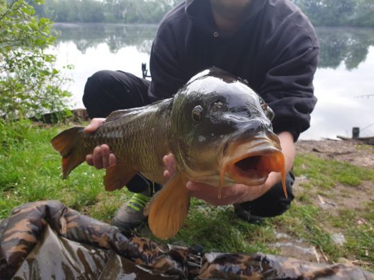 ASV Keckforst (Uedem)-1