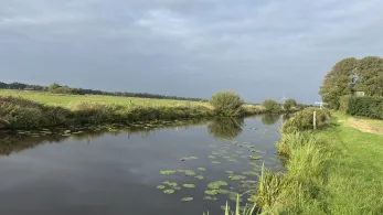 Sauteler Kanal (Großefehn)-2