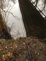 Schwanengraben (Dallgow-Döberitz)