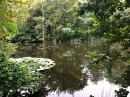 Schwanengraben (Dallgow-Döberitz)-1