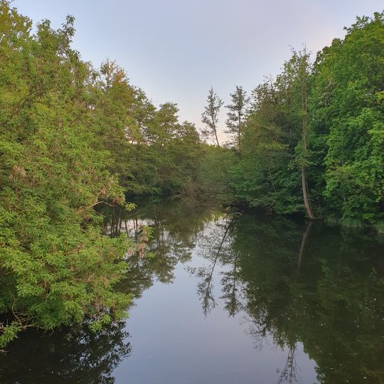 Schwanengraben (Dallgow-Döberitz)-3