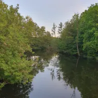 Schwanengraben (Dallgow-Döberitz)-3