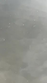 Schwanengraben (Dallgow-Döberitz)-4