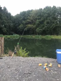 Vogelsberger Forellenzucht