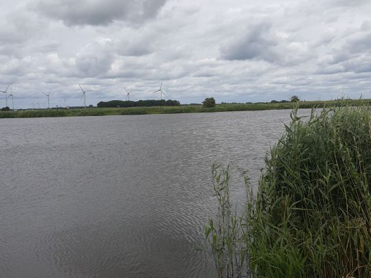 Große Wehle (Struckum)-1