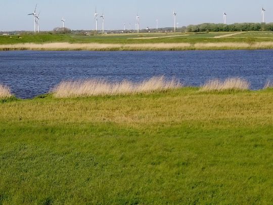 Große Wehle (Struckum)-2