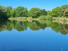 Bultteiche (Winsen/Luhe)-4