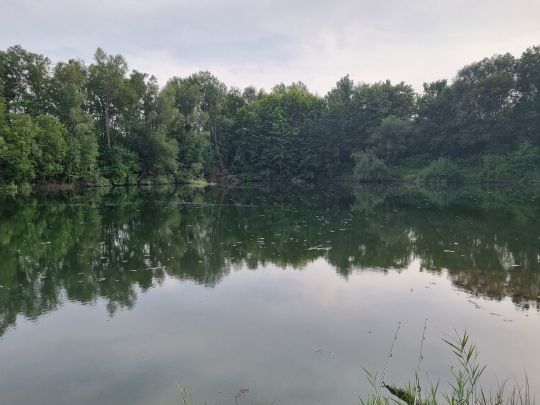 Lengede Teich 12-1
