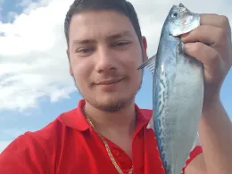 Lofer (Reit im Winkl)-1