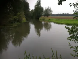 Weißer Schöps (Horka)-2