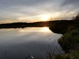 Weißer Schöps (Horka)-1