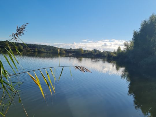 Neue Kieskuhlen Eicklingen-1