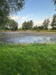 Teichanlage Natendorf