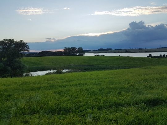 Sumpfsee (Güstrow)-1