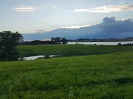 Sumpfsee (Güstrow)-1