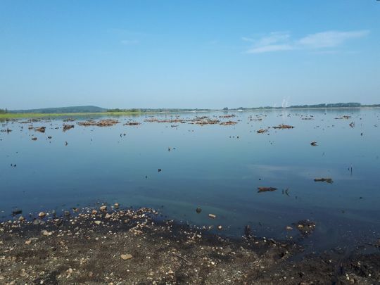 Talsperre Quitzdorf-3