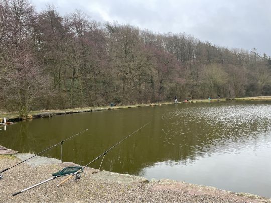 Angelpark Mohnen (Stolberg-Gressenich)-4