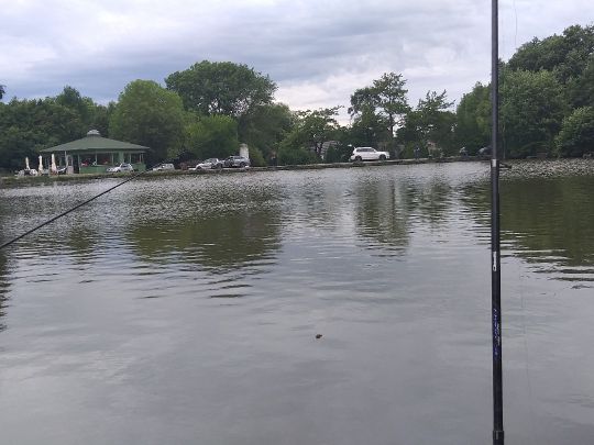 Angelpark Mohnen (Stolberg-Gressenich)-2