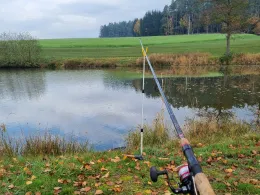 Erlenweiher (Schönkirch)-4