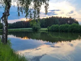 Erlenweiher (Schönkirch)-2