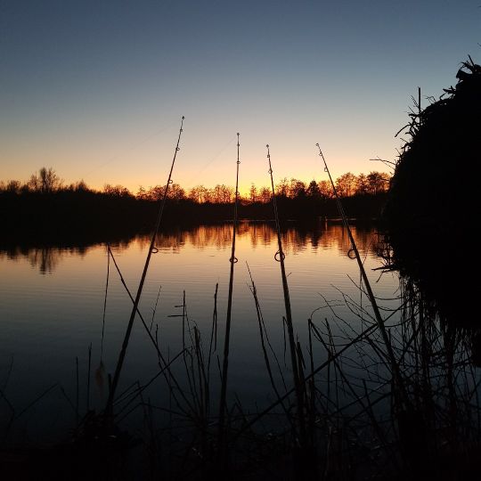 Baggersee Okriftel-3