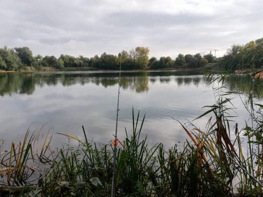 Baggersee Okriftel-4