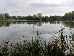 Baggersee Okriftel-4