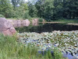 Steinbruch (Möhlau)-1