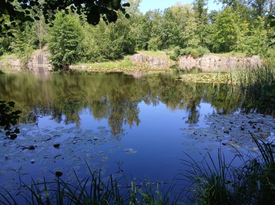 Steinbruch (Möhlau)-4