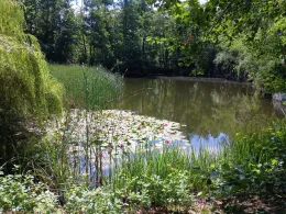 Steinbruch (Möhlau)