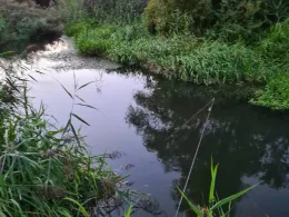 Klosterbach (Blindheim)-3