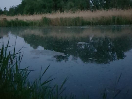 Klosterbach (Blindheim)-4