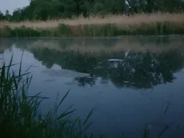 Klosterbach (Blindheim)-4